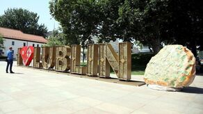 Pierwszy Dzień Cebularza w 2024 roku