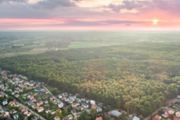 Las Rejkowizna pod lupą ekspertów
