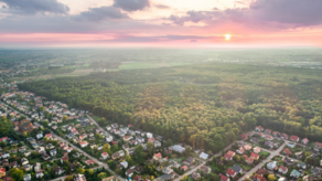 Las Rejkowizna pod lupą ekspertów