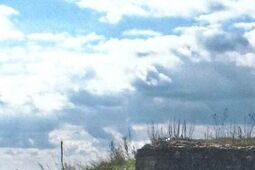 Prawdziwa niespodzianka spod ziemi. Bunkier z czasów II wojny światowej odkryty na trasie budowy S17