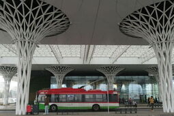 „Owocobranie 2025”: Jak dojechać i jak wrócić?