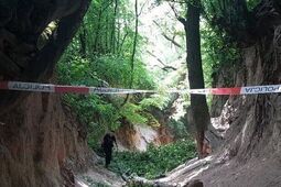 Dramatyczne sceny w Kazimierzu Dolnym. Co dalej z wąwozem?