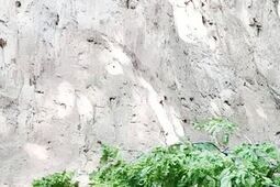 Wypadek w Kazimierzu Dolnym. Na grupę dzieci spadł konar. Lądował śmigłowiec LPR