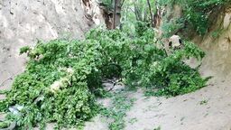 Do nieszczęśliwego wypadku doszło dzisiaj chwilę po godz. 10