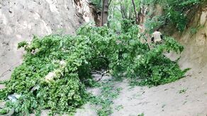 Do nieszczęśliwego wypadku doszło dzisiaj chwilę po godz. 10