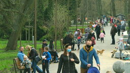 Krótki, ale bardzo potrzebny. Pojawi się nowy chodnik w Parku Ludowym