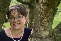 Mykoterapia, czyli grzyby, które leczą