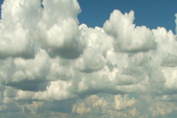 Lubelszczyzna: ile naprawdę o niej wiesz? Sprawdź się w naszym quizie