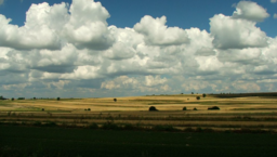 Lubelszczyzna: ile naprawdę o niej wiesz? Sprawdź się w naszym quizie