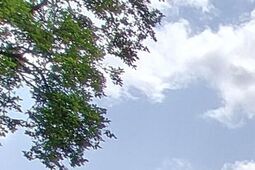 Pierwszy taki remont w Poniatowej od 30 lat. Powstanie drugi gabinet i skrócą się kolejki