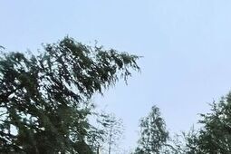 Nowy alert pogodowy dla Lubelskiego. Burze nie odpuszczają