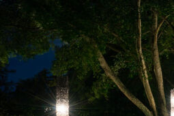 Aranżacja świetlna w ogrodzie – dlaczego jest tak istotna?