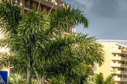 Jakie akcesoria do biegania są niezbędne dla wszystkich biegacza – od amatora po zaawansowanego?