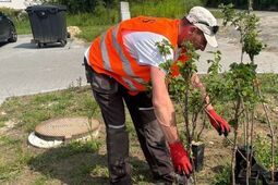 Już nie będzie łyso. Powstaje ogród terapeutyczny