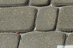 Biorą się za hulajnogi. Bez kasku nie będzie jazdy