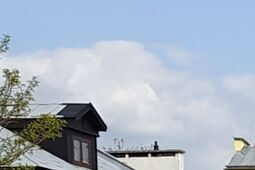 Chełm w rękach mieszkańców. Ruszyła nowa edycja budżetu obywatelskiego