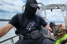 Czworonożni funkcjonariusze w akcji – policyjne psy szkoliły się nad Zalewem Zemborzyckim