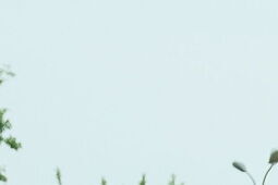 Zmiany w egzaminach na prawo jazdy. 18 punktów grozy