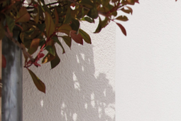 Powietrzna, gruntowa czy wodna? Która pompa ciepła najlepiej sprawdzi się w polskich warunkach w 2025 roku?