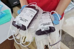 Ratuje życie. Sprawdź, gdzie oddać krew w Lubelskiem