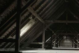 Jak pozbyć się kuny z poddasza? Skuteczne metody, które naprawdę działają!