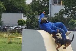 Oni mają dobrego nosa. Czworonożni funkcjonariusze lubelskiej policji pokazywali swoje umiejętności