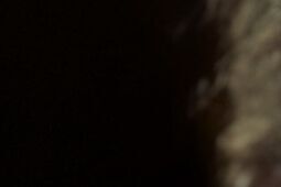 Trump traci cierpliwość do Putina. Daje mu mniej czasu