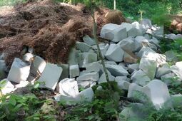 Kto śmieci w lesie koło Kozłówki? "To wstyd"