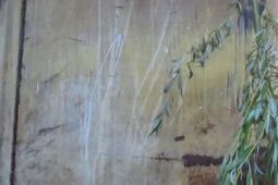 Maluch, który ma 170 cm. Zamojskie ZOO powitało żyrafę