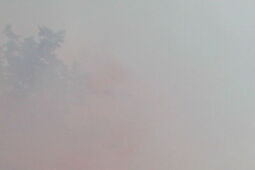 Upamiętnią godzinę "W". Syreny, race w centrum i patriotyczny koncert przy pałacu