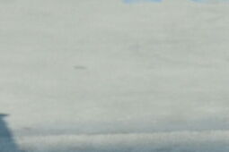 Skatepark pod choinkę? Projekt z budżetu obywatelskiego czeka na wykonawcę