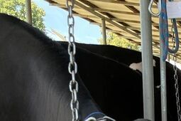 To jak raj dla rolników i nie tylko. Wystawa w Sitnie już w ten weekend