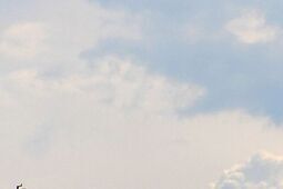 W puławskich Azotach pensje zaczynają dzielić na raty