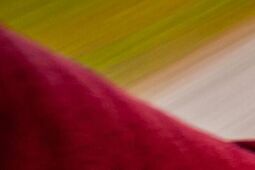 65-latka na rowerze: kolizja, mandat i promile