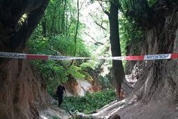 Kiedy otworzą Korzeniowy Dół? Szansa na znieniesie opłat za wstęp