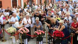 Najpiękniejsze róże wybrane. Wygrała "Wisława Szymborska"