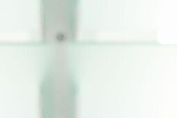 IPN wszczyna śledztwo w sprawie zaprzeczania przez Brauna ludobójstwu w Auschwitz