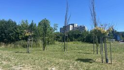 Spory kawałek ziemi w atrakcyjnej lokalizacji przy ul. Wyszyńskiego od lat leżał odłogiem. Pięcioletnia batalia między radnymi a deweloperem dobiegła jednak końca i spółka z Kalinowic ruszy wreszcie z budową swojego bloku