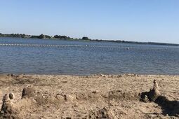 Sanepid zamknął popularne kąpielisko. W wodzie zakwitły sinice