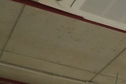 Sztuczna inteligencja zapakuje palety w Stock Polska