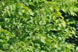 Golf jest dla wszystkich. Przekonaj się o tym w ten weekend