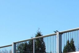 Minister pomoże Puławom? Jest projekt nowej ustawy o sporcie