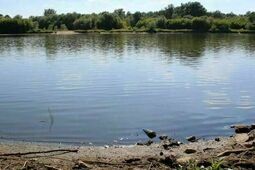 Wyprawa nastolatków nad Wieprz zakończyła się tragedią. Nie żyje 16-latek