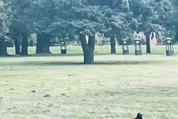 Ponownie ruszył proces odwoławczy w sprawie śmierci Eryka