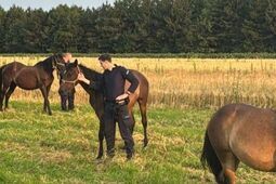 Konie z Końskowoli zatrzymane i doprowadzone na łąkę
