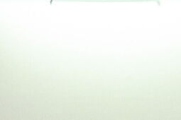 Donald Tusk: Tymczasowe kontrole na granicach z Niemcami i Litwą od 7 lipca