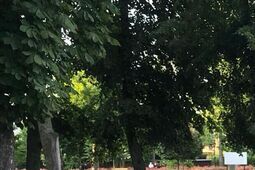 Fontanna nie działa już kilka lat. Radny chce ją zasypać i posadzić kwiaty