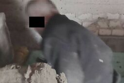 Nietypowa kryjówka nie pomogła. 39-latek trafił do więzienia