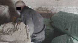 Ze strychu swojej mamy 39-latek trafił do zakładu karnego