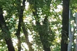 Są miliony dotacji, będzie drugie życia dla Ogródka Jordanowskiego